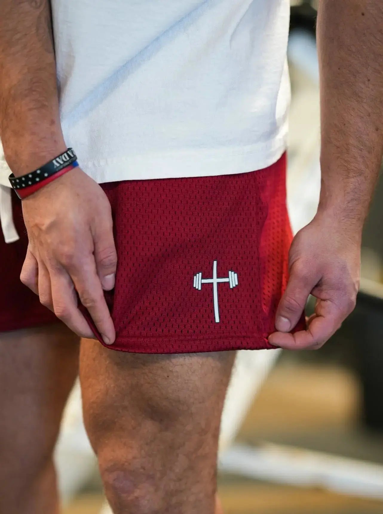 Classic Mesh Shorts HolStrength