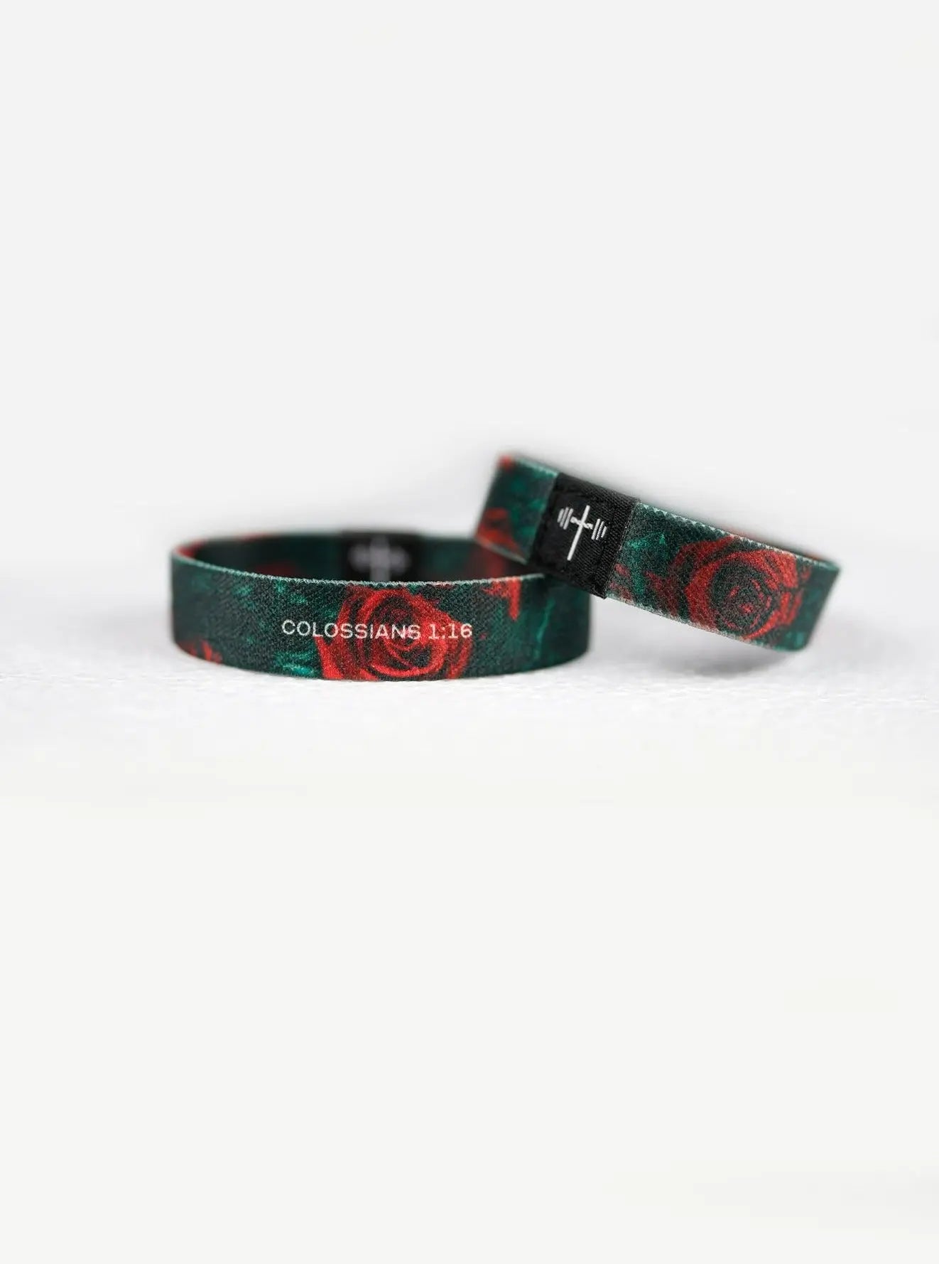 Colossians 1:16 Wristband HolStrength