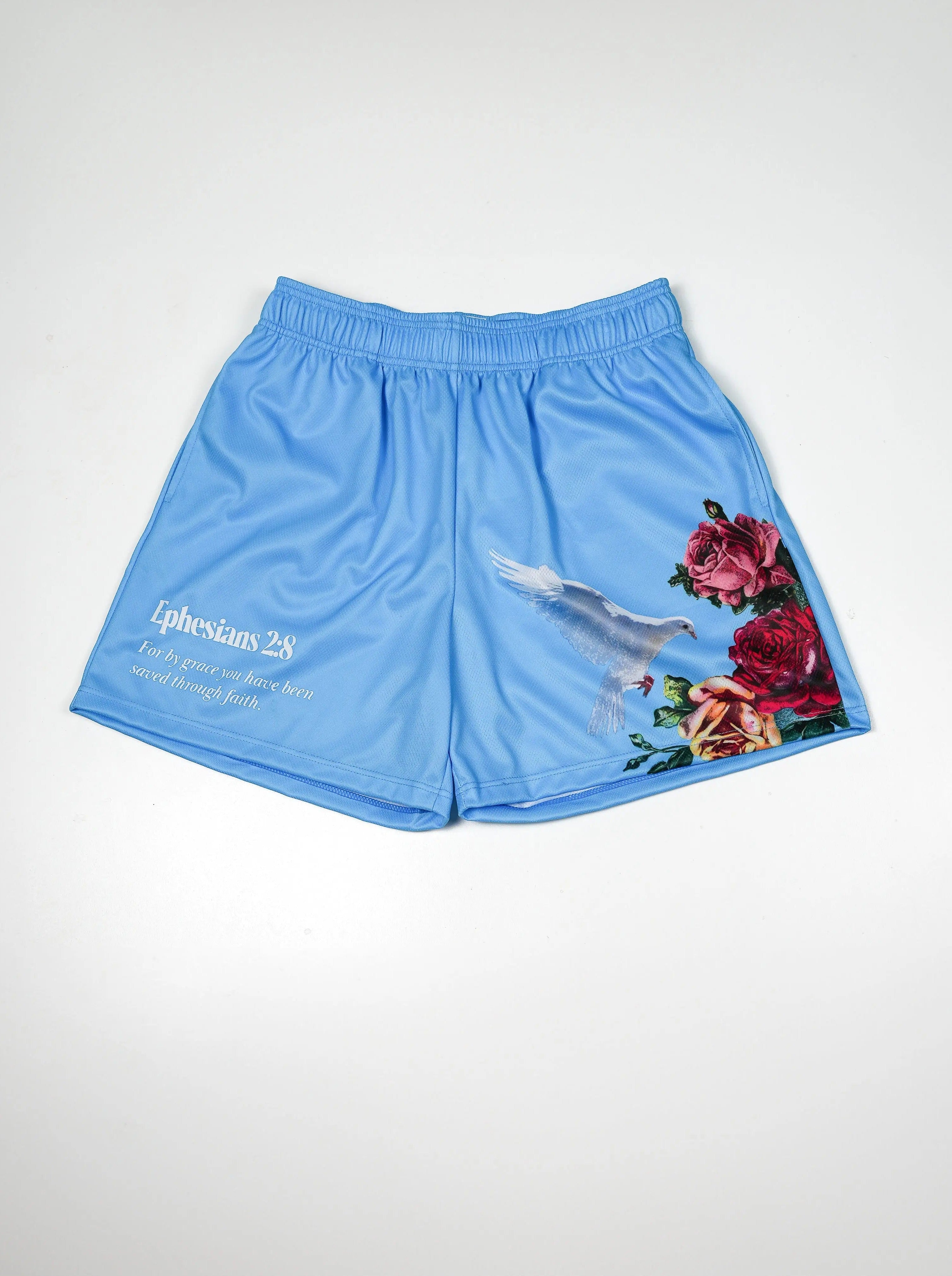 Ephesians 2:8 Dove Shorts - Blue HolStrength