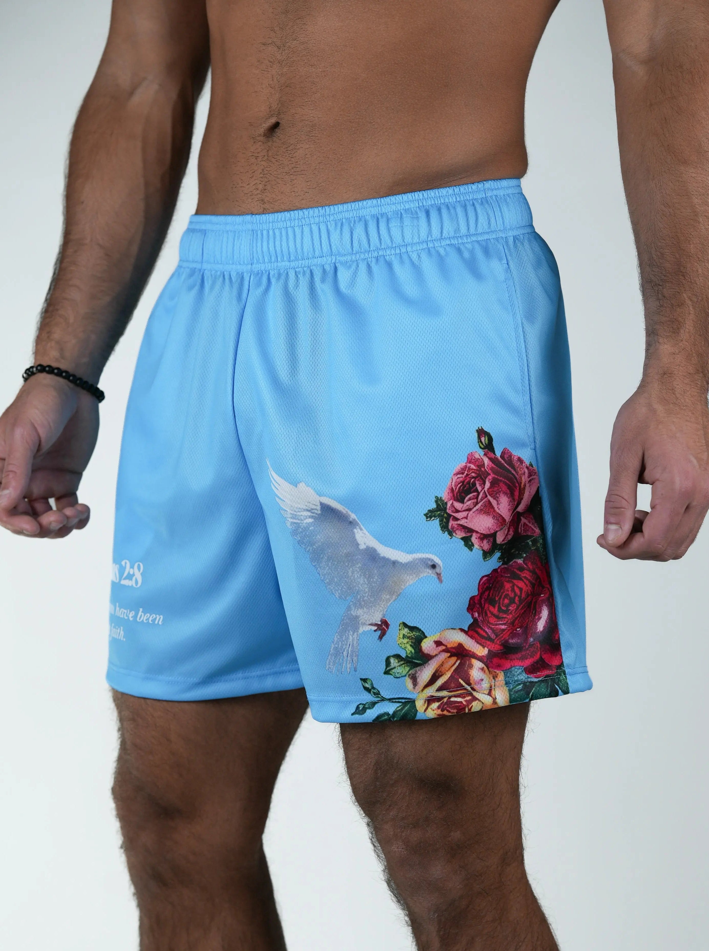 Ephesians 2:8 Dove Shorts - Blue HolStrength